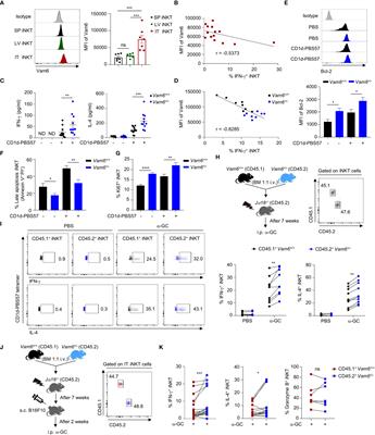 Vam6 reduces iNKT cell function in tumor via modulating AMPK/mTOR pathways
